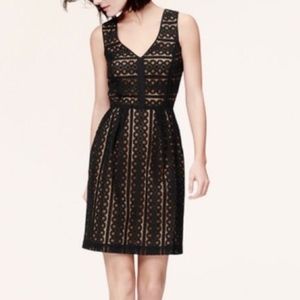 LOFT Geo Striped Lace Eyelet Black Mini Dress